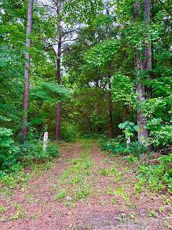 38 Acres of Recreational & Residential Land for Sale in Jacksonville, Texas