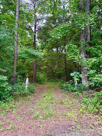 38 Acres of Land for Sale in Jacksonville, Texas