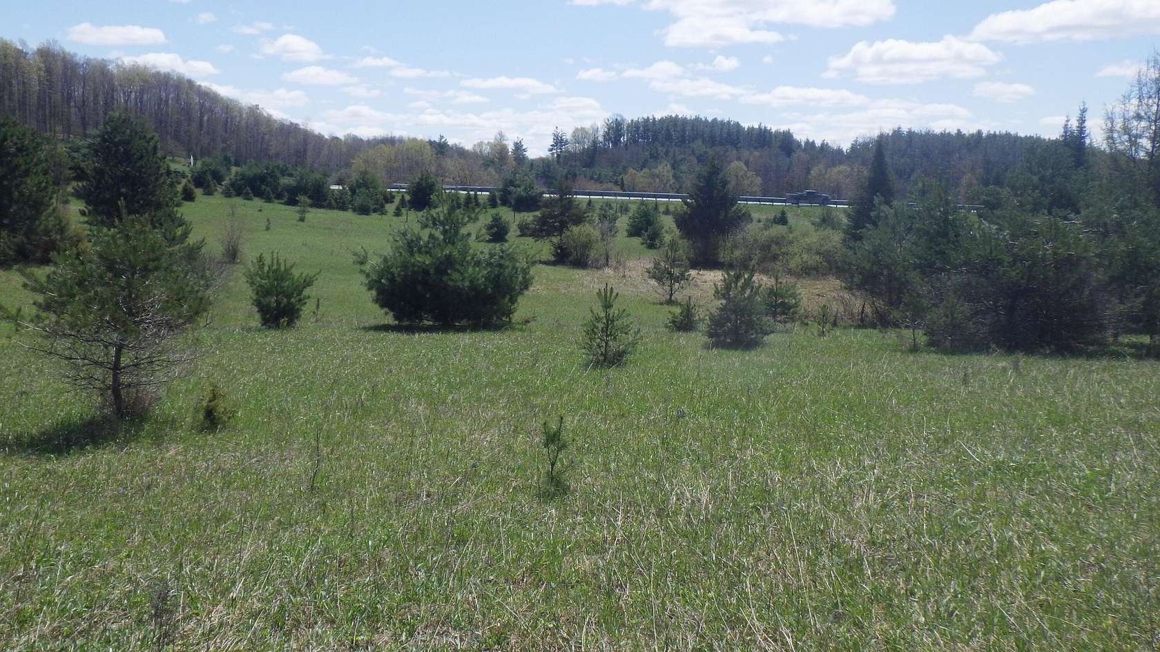 6.9 Acres of Land for Sale in Cadillac, Michigan