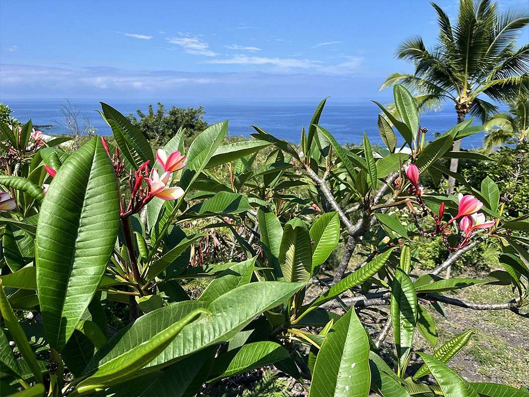 0.19 Acres of Residential Land for Sale in Captain Cook, Hawaii