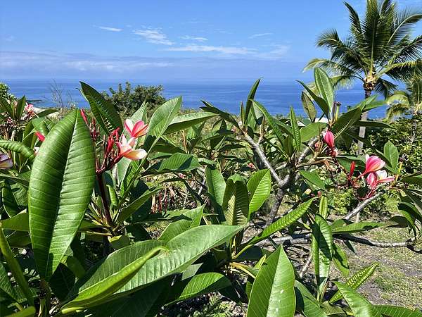 0.19 Acres of Residential Land for Sale in Captain Cook, Hawaii