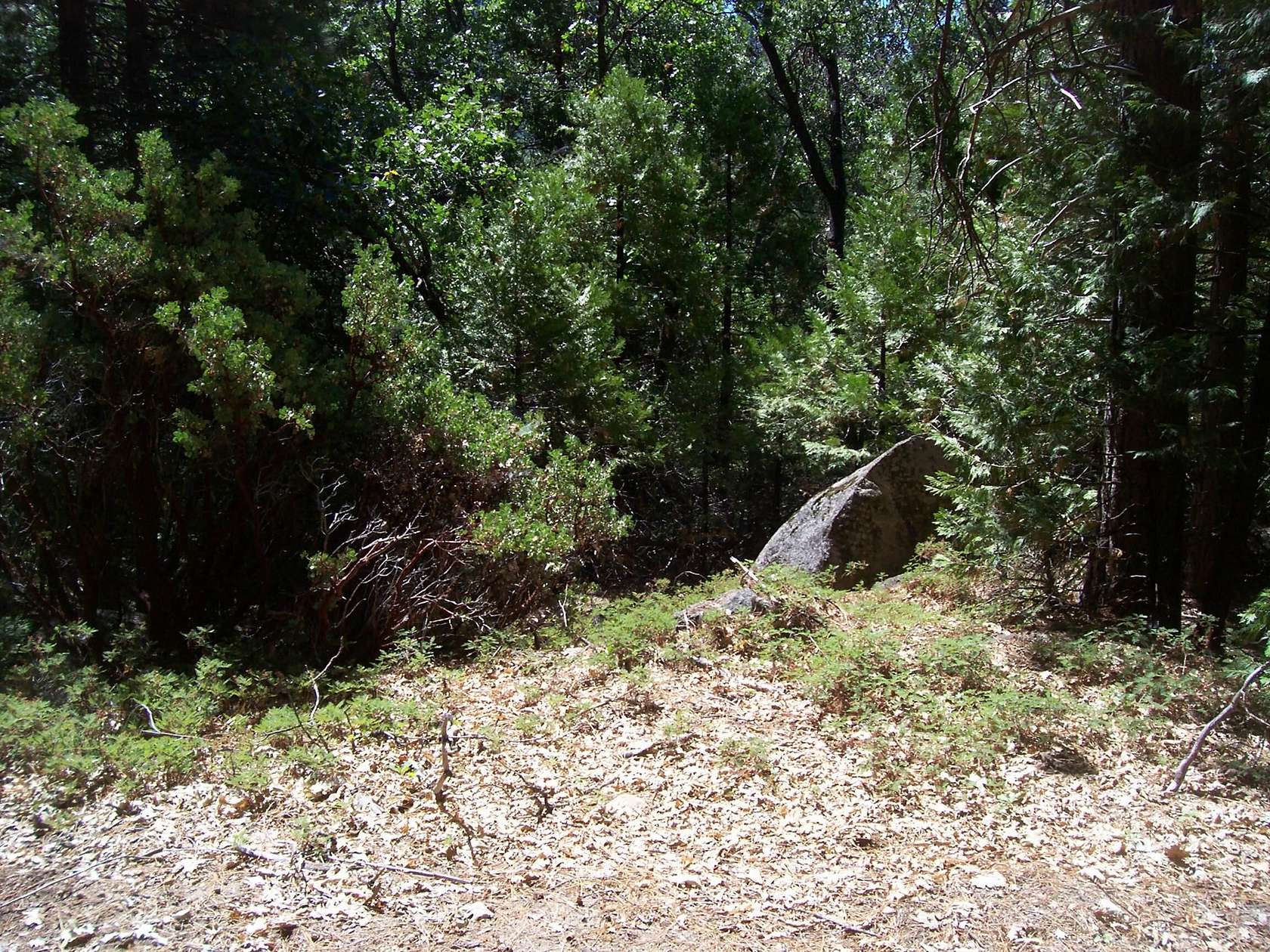 1.66 Acres of Land for Sale in Cedar Slope, California