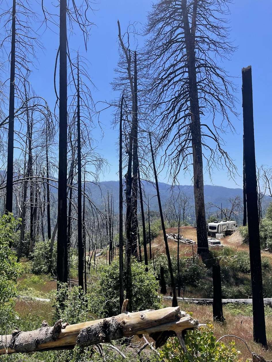 1.66 Acres of Land for Sale in Cedar Slope, California