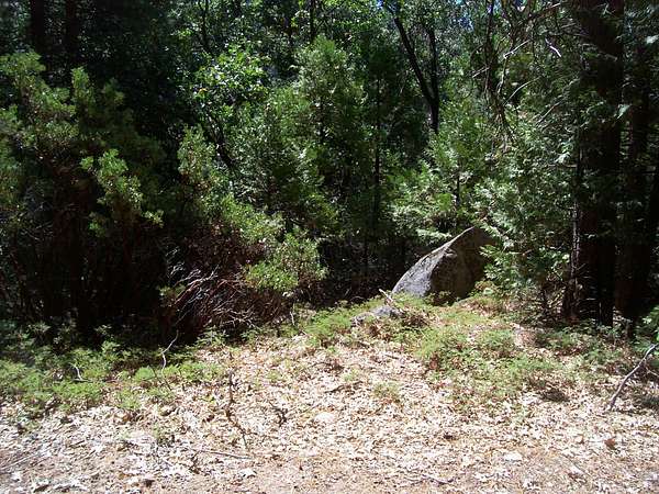 1.66 Acres of Land for Sale in Cedar Slope, California