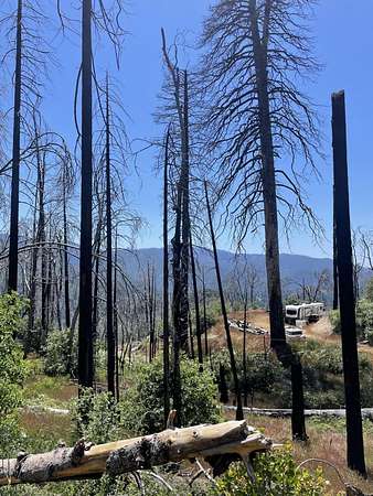 1.66 Acres of Land for Sale in Cedar Slope, California