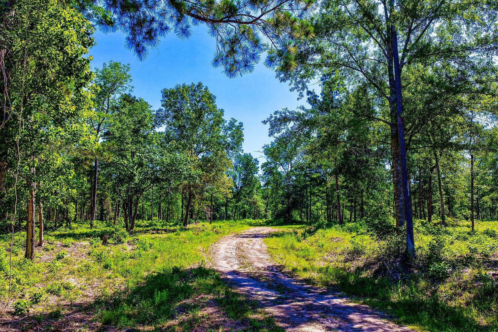 63 Acres of Recreational Land for Sale in Lufkin, Texas