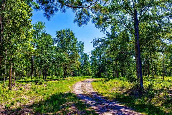 63 Acres of Recreational Land for Sale in Lufkin, Texas