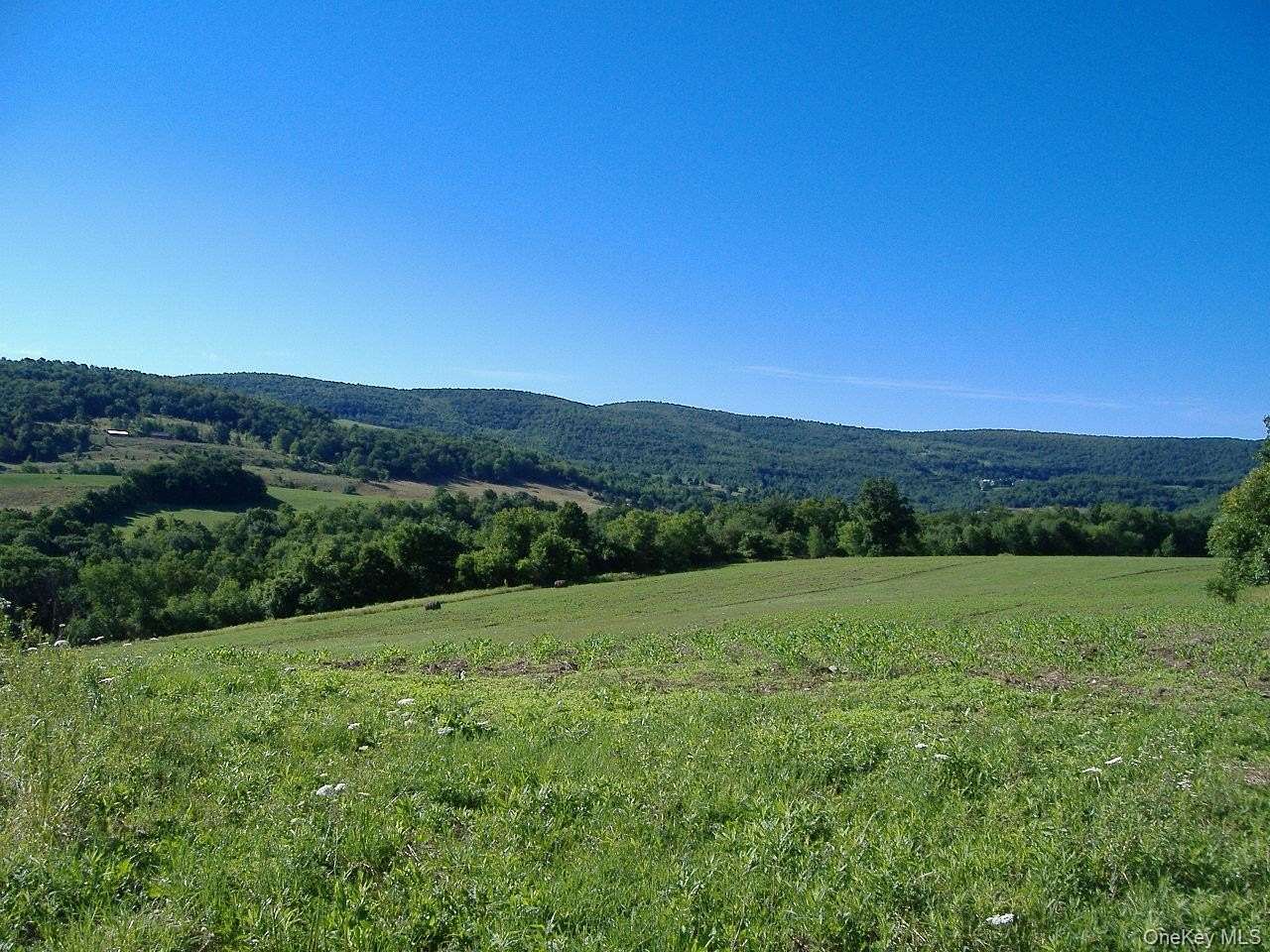 40 Acres of Recreational & Residential Land for Sale in Richmondville Town, New York