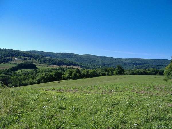 40 Acres of Recreational & Residential Land for Sale in Richmondville Town, New York