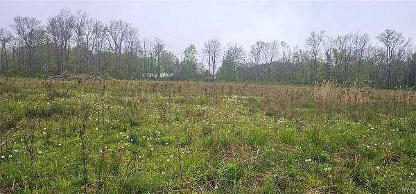 15 Acres of Recreational & Residential Land for Sale in Sodus, New York