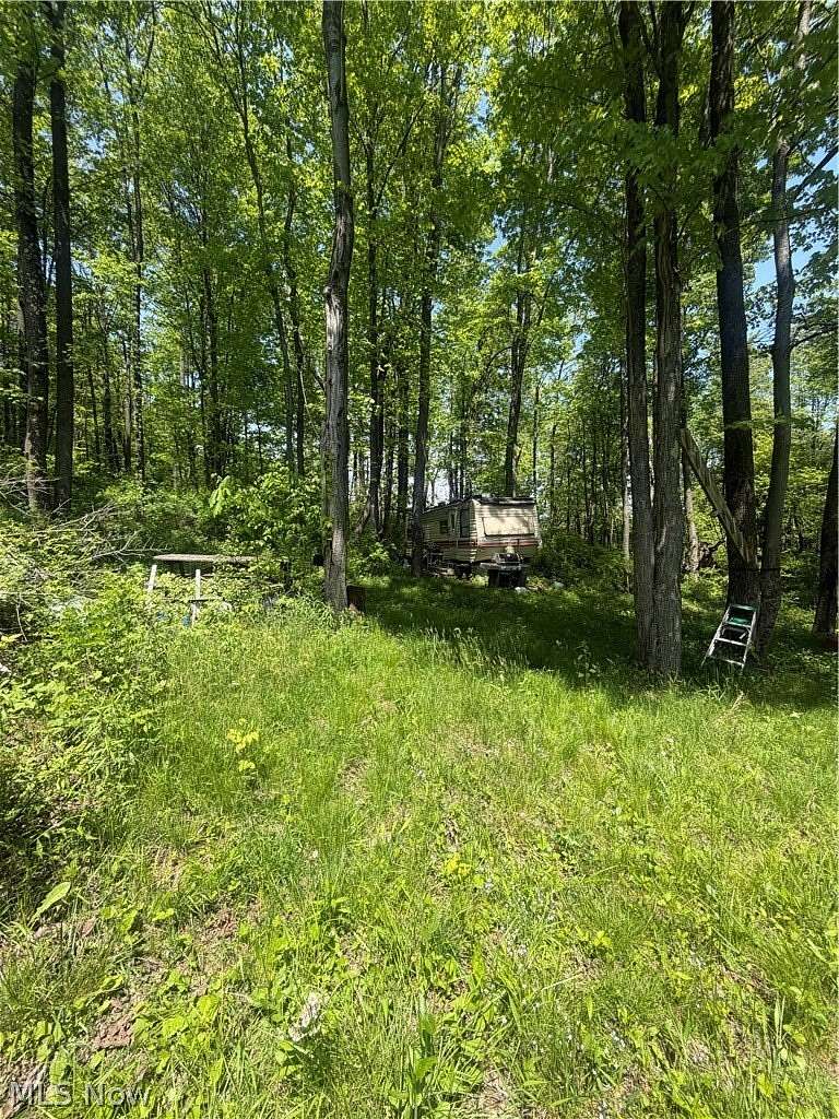 12.2 Acres of Land for Sale in Dennison, Ohio