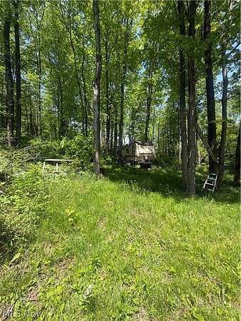 12.2 Acres of Land for Sale in Dennison, Ohio