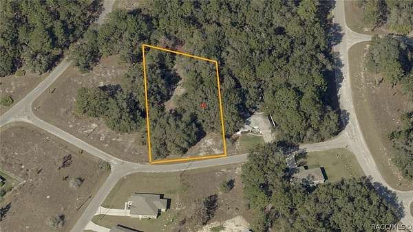 0.32 Acres of Residential Land for Sale in Ocklawaha, Florida