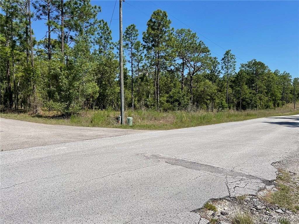 1 Acre of Residential Land for Sale in Dunnellon, Florida