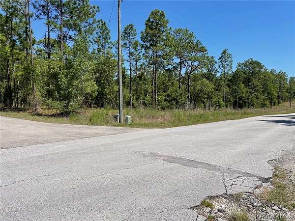 1 Acre of Residential Land for Sale in Dunnellon, Florida