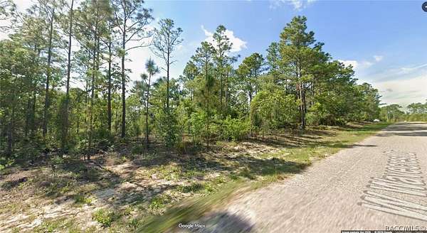 0.23 Acres of Land for Sale in Dunnellon, Florida