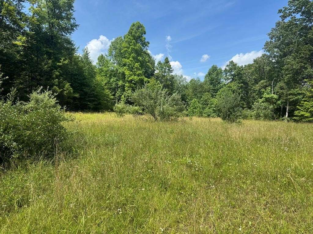 173 Acres of Recreational Land for Sale in Hico, West Virginia