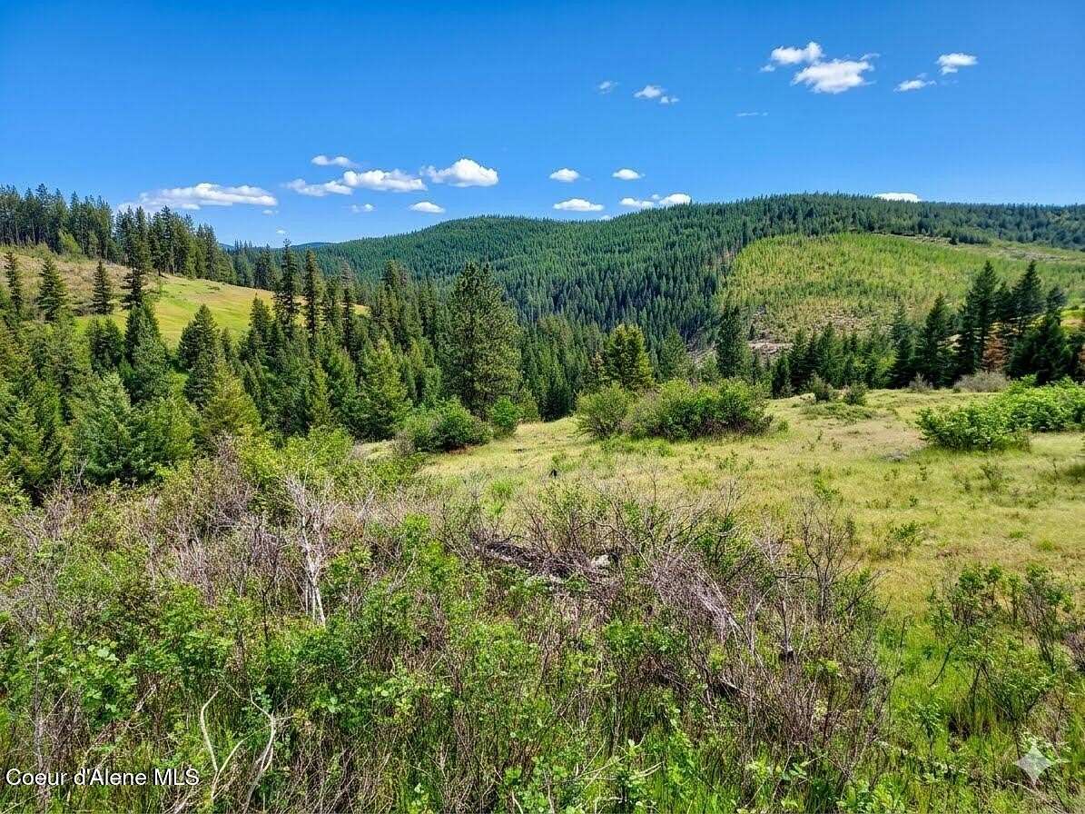 20 Acres of Recreational & Residential Land for Sale in St. Maries, Idaho