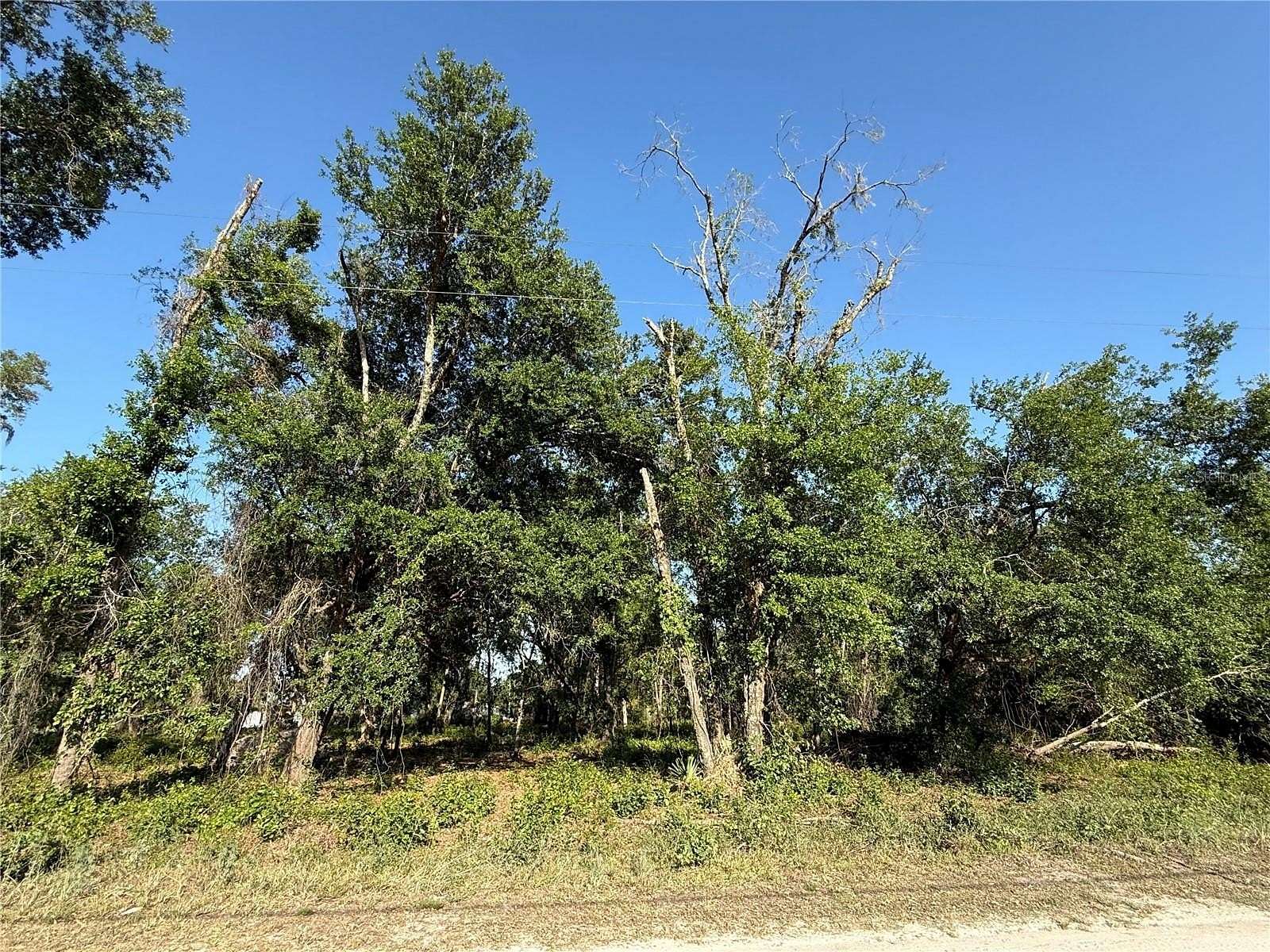 1.2 Acres of Residential Land for Sale in Zephyrhills, Florida