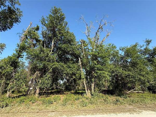 1.2 Acres of Residential Land for Sale in Zephyrhills, Florida