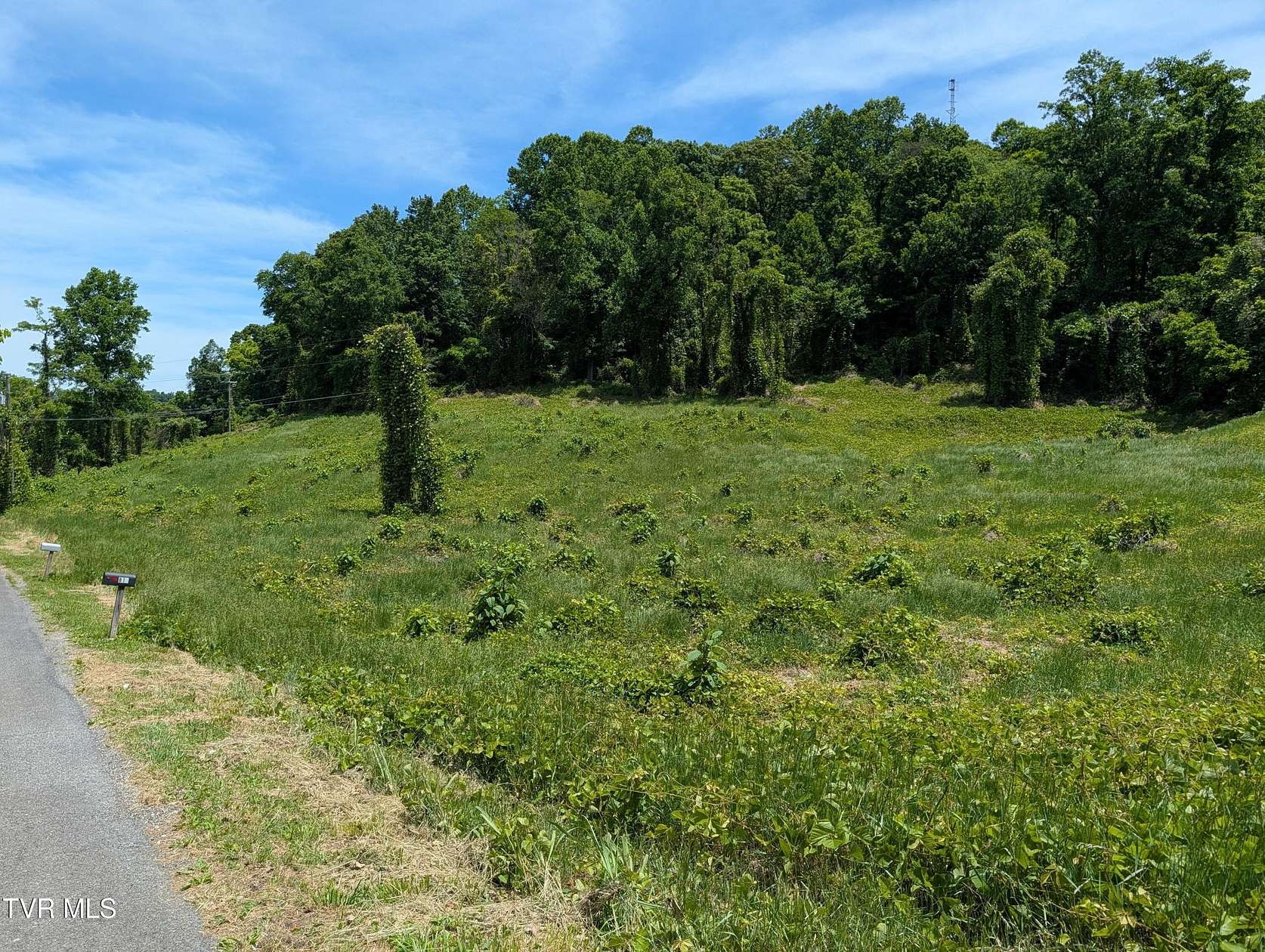 5.57 Acres of Land for Sale in Rogersville, Tennessee
