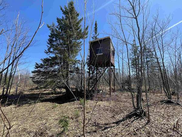 40 Acres of Recreational & Residential Land for Sale in Wakefield, Michigan