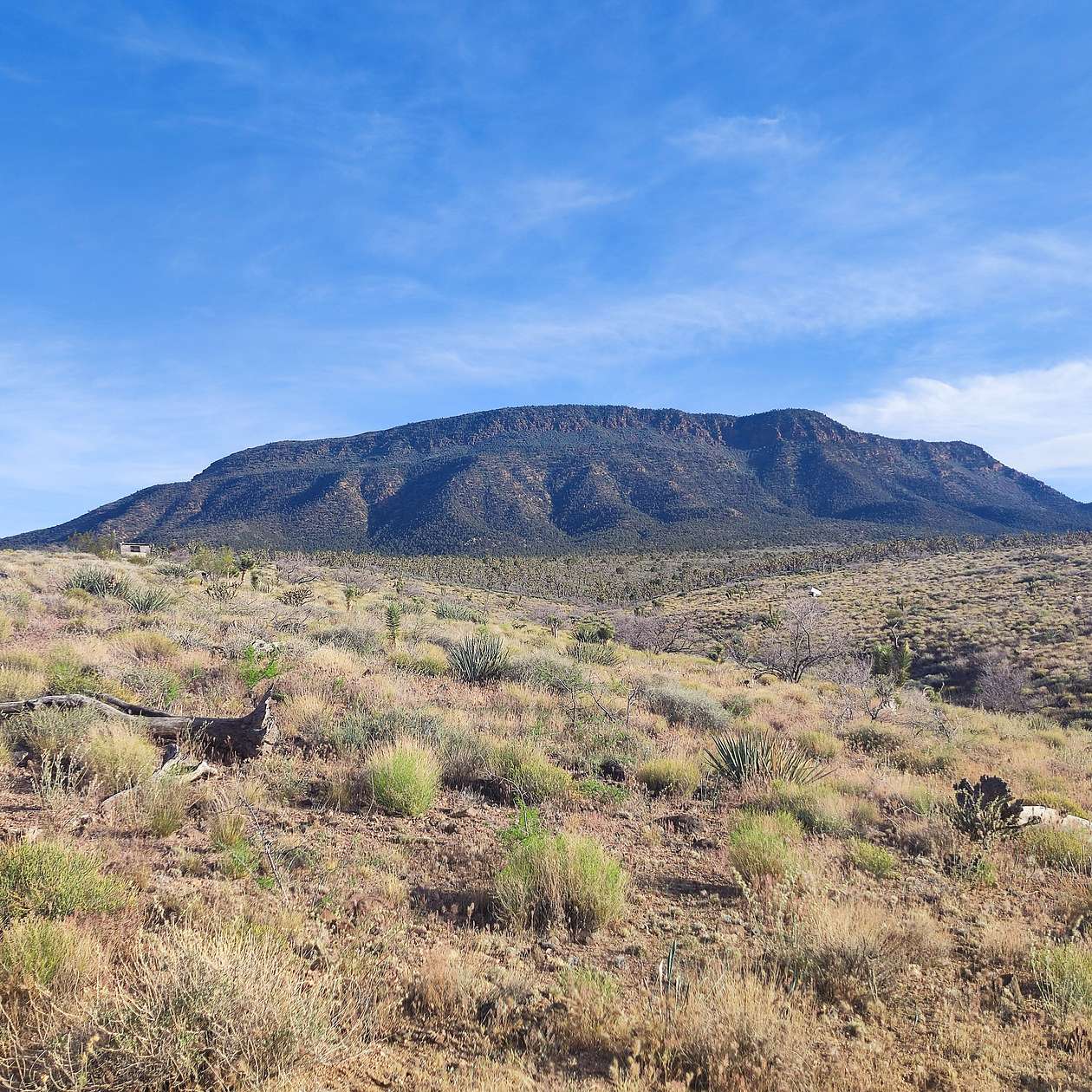 1.25 Acres of Residential Land for Sale in Meadview, Arizona