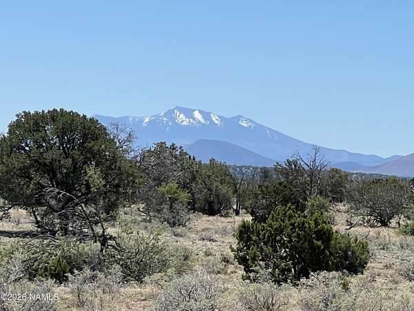 12 Acres of Land for Sale in Williams, Arizona