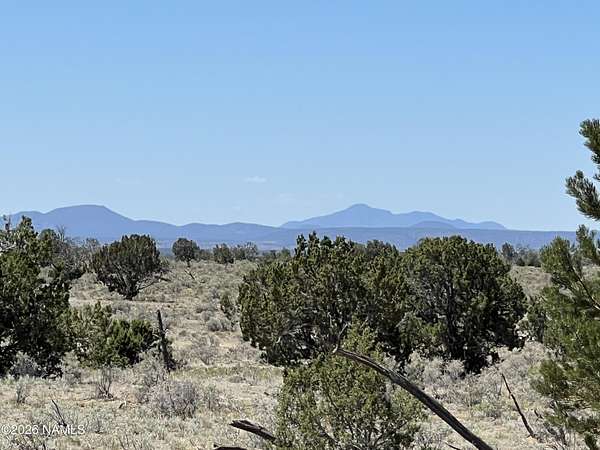 12 Acres of Land for Sale in Williams, Arizona