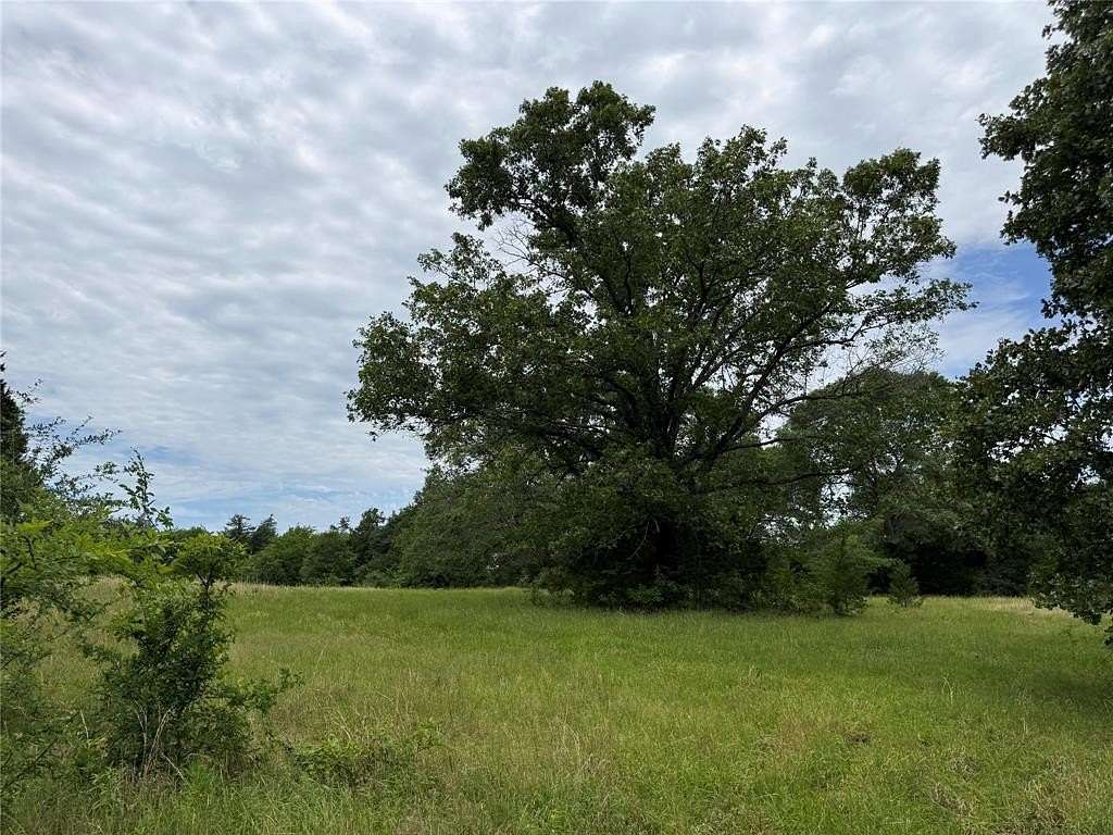 5 Acres of Residential Land for Sale in Telephone, Texas