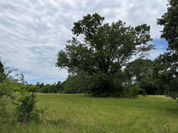 5 Acres of Residential Land for Sale in Telephone, Texas