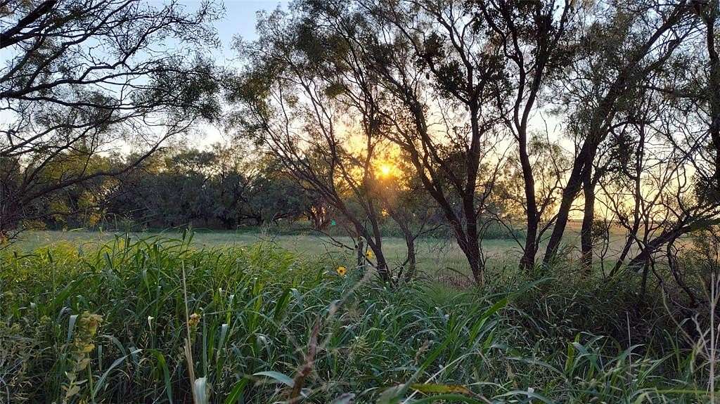 10 Acres of Land for Sale in Anson, Texas