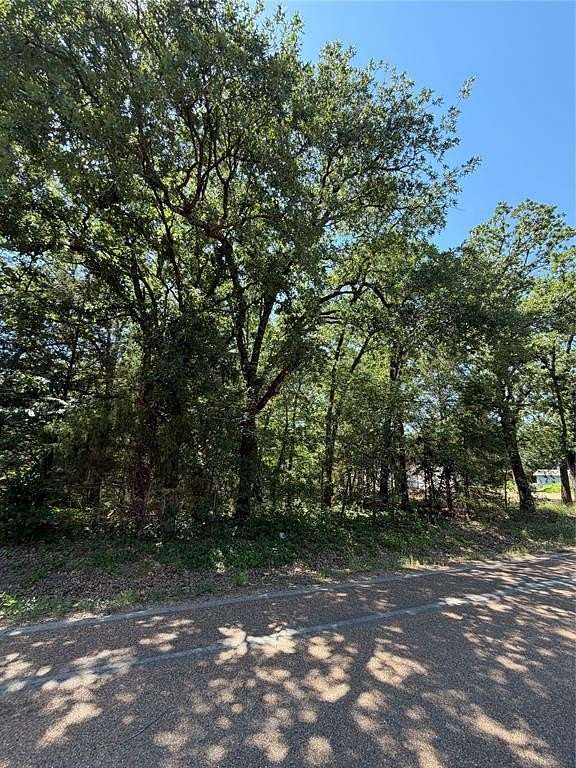 0.37 Acres of Residential Land for Sale in Trinidad, Texas