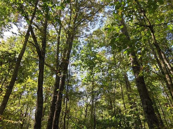 274 Acres of Recreational Land for Sale in Garrison, Texas