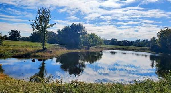 60 Acres of Land for Sale in Kosse, Texas