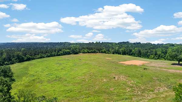 16.8 Acres of Land for Sale in Jacksonville, Texas