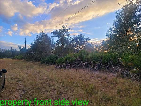 0.29 Acres of Residential Land for Sale in Lehigh Acres, Florida