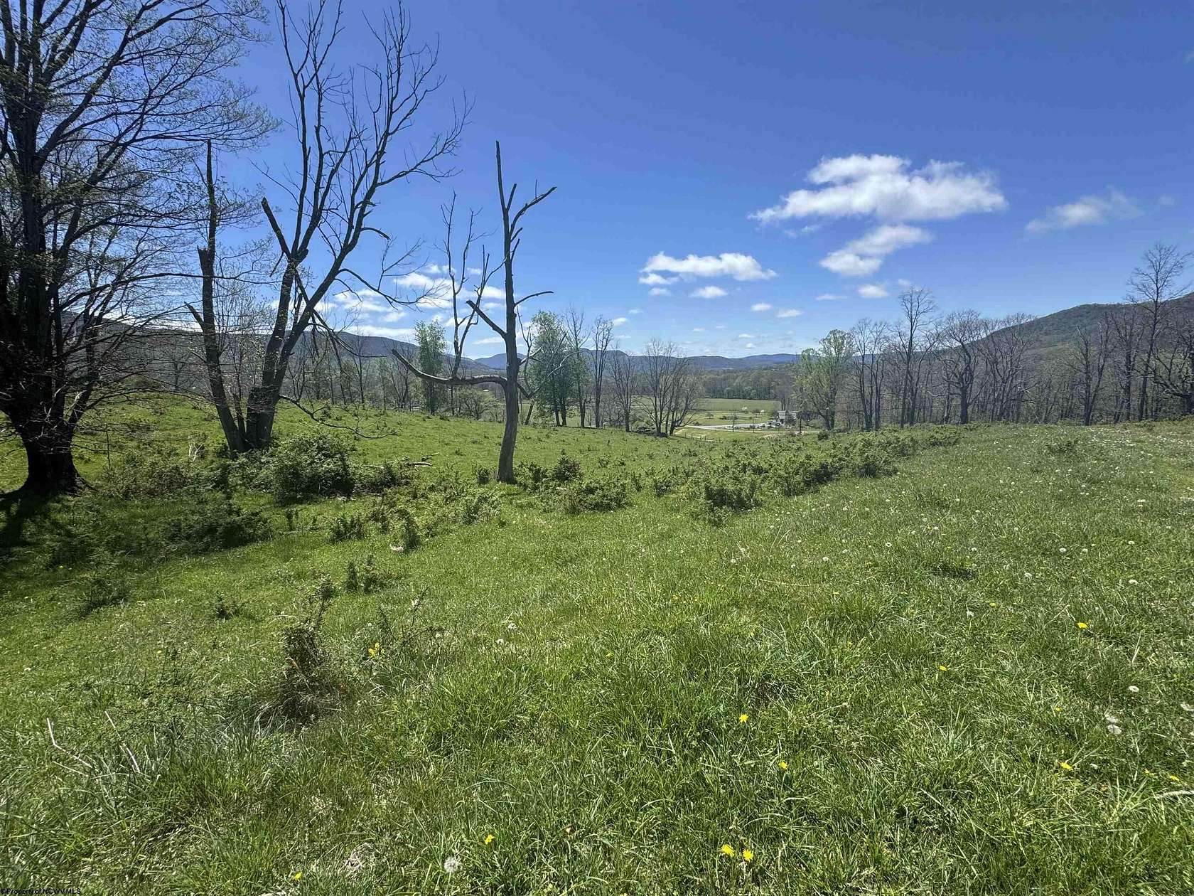 26.5 Acres of Land for Sale in Dryfork, West Virginia