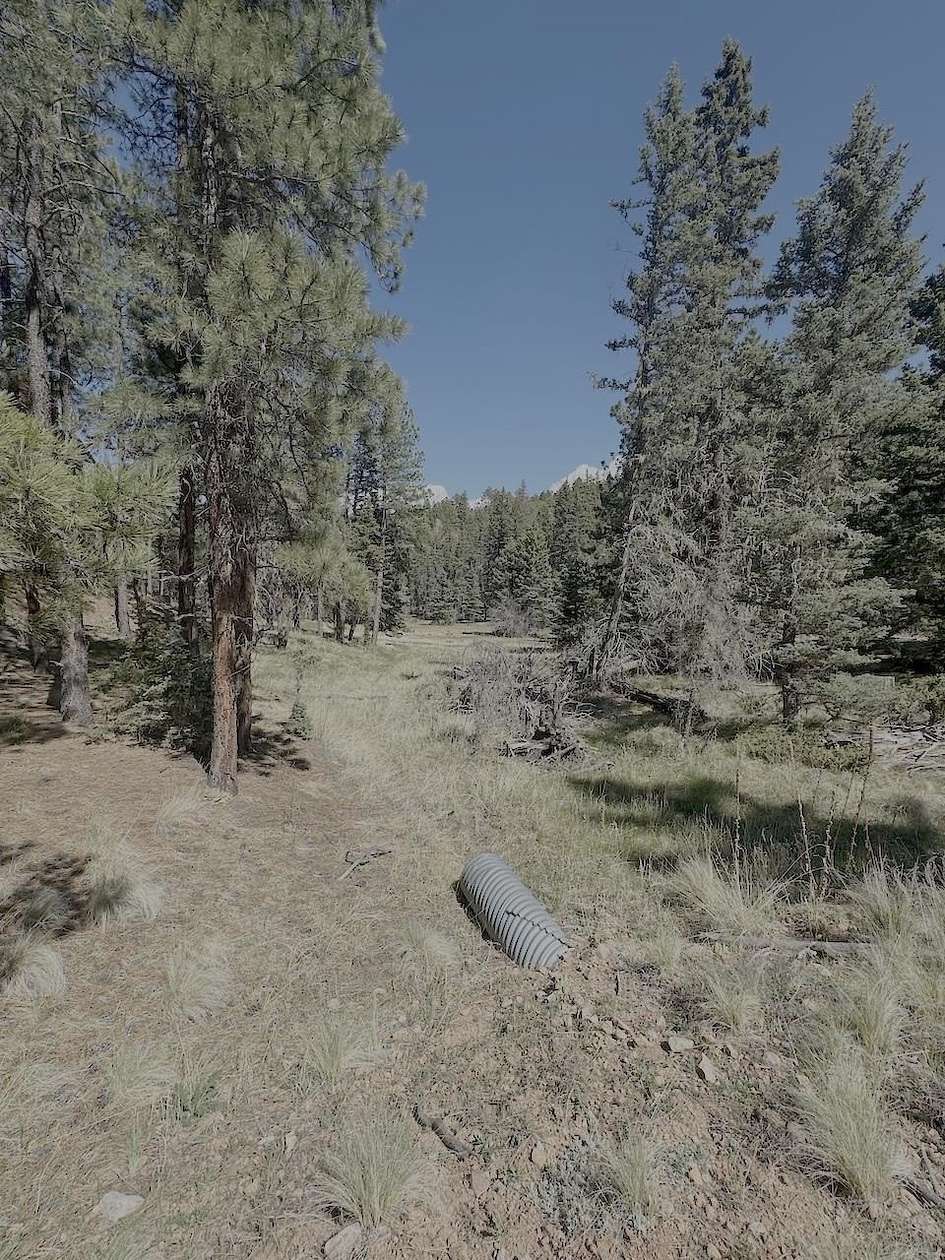 2 Acres of Residential Land for Sale in Angel Fire, New Mexico