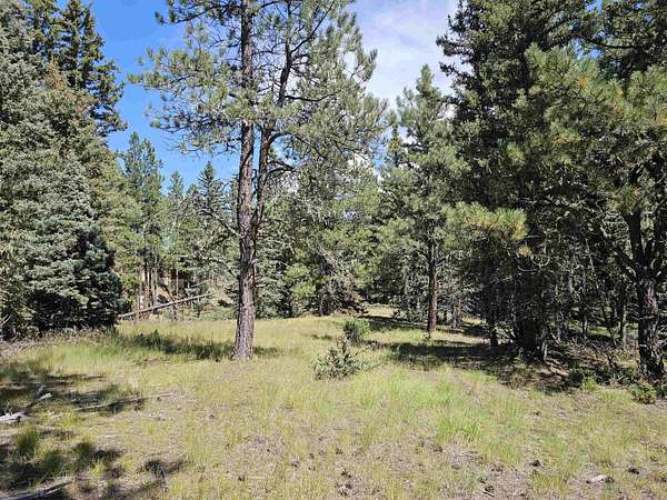 2 Acres of Residential Land for Sale in Angel Fire, New Mexico