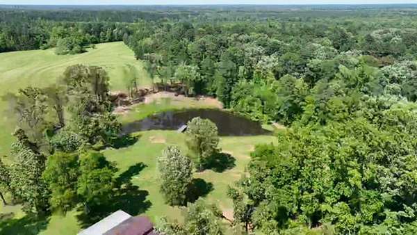 220 Acres of Recreational Land for Sale in Plain Dealing, Louisiana