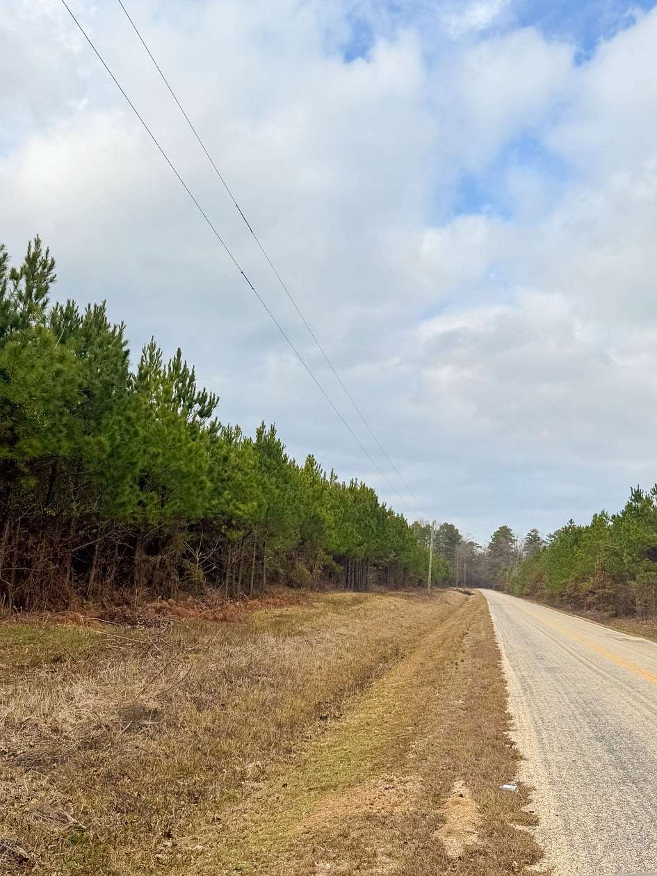 11.5 Acres of Recreational Land for Sale in Hamburg, Arkansas