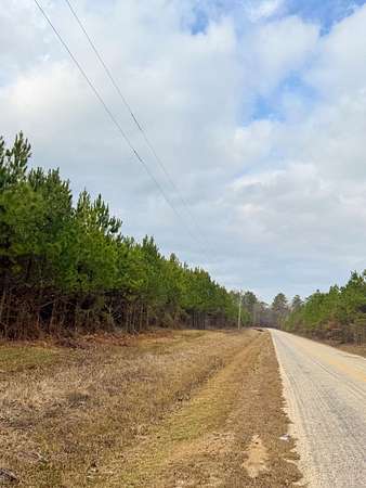 11.5 Acres of Recreational Land for Sale in Hamburg, Arkansas