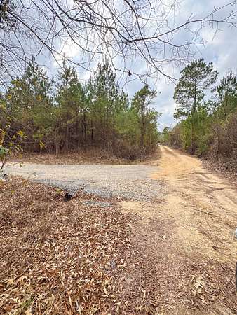 27.8 Acres of Recreational Land for Sale in Hamburg, Arkansas