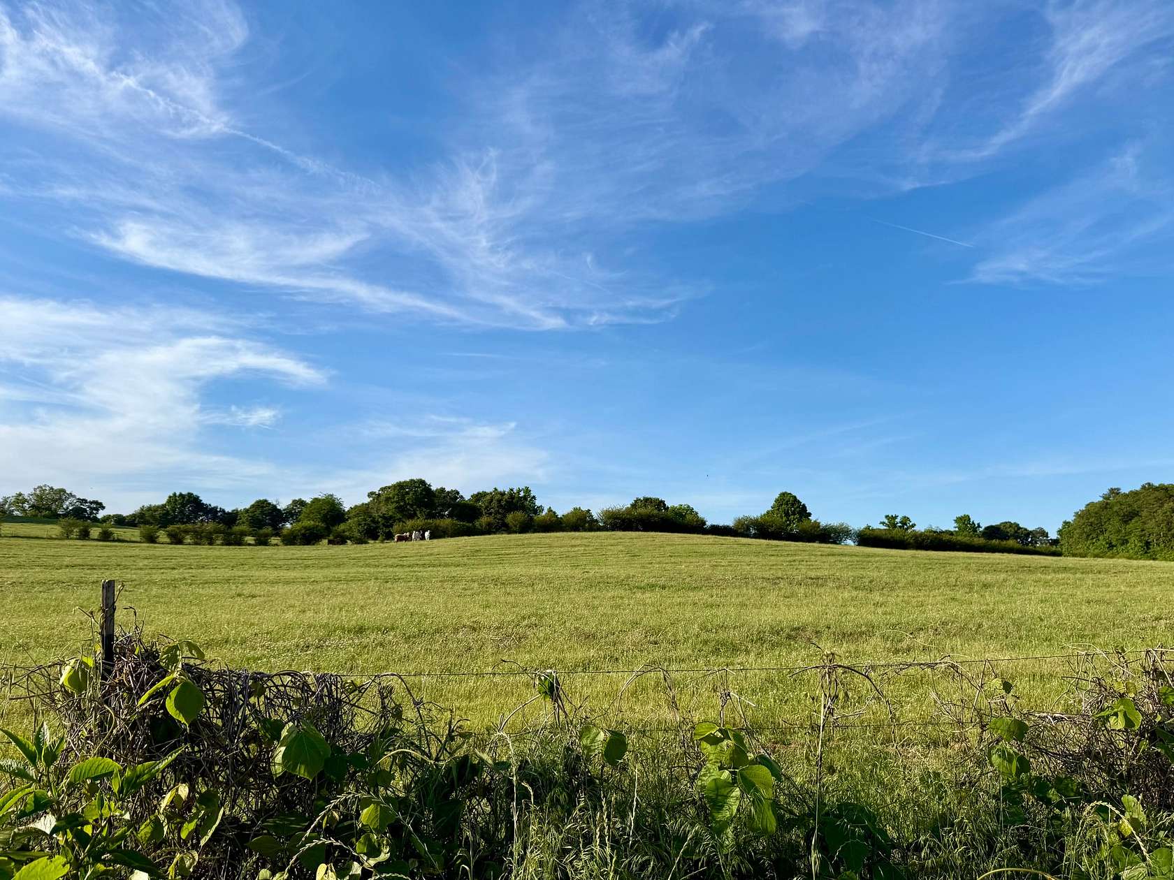 8.5 Acres of Land for Sale in Ashland, Alabama