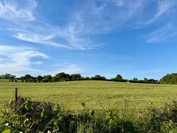 8.5 Acres of Land for Sale in Ashland, Alabama