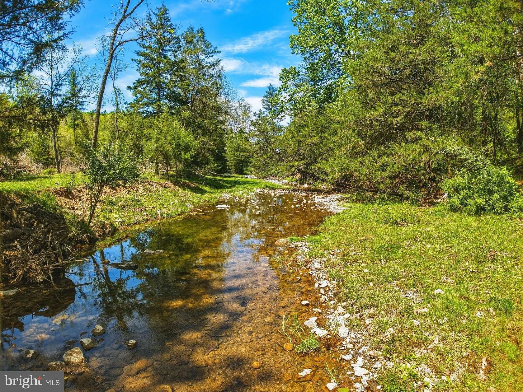 22 Acres of Recreational & Residential Land for Sale in Mount Jackson, Virginia