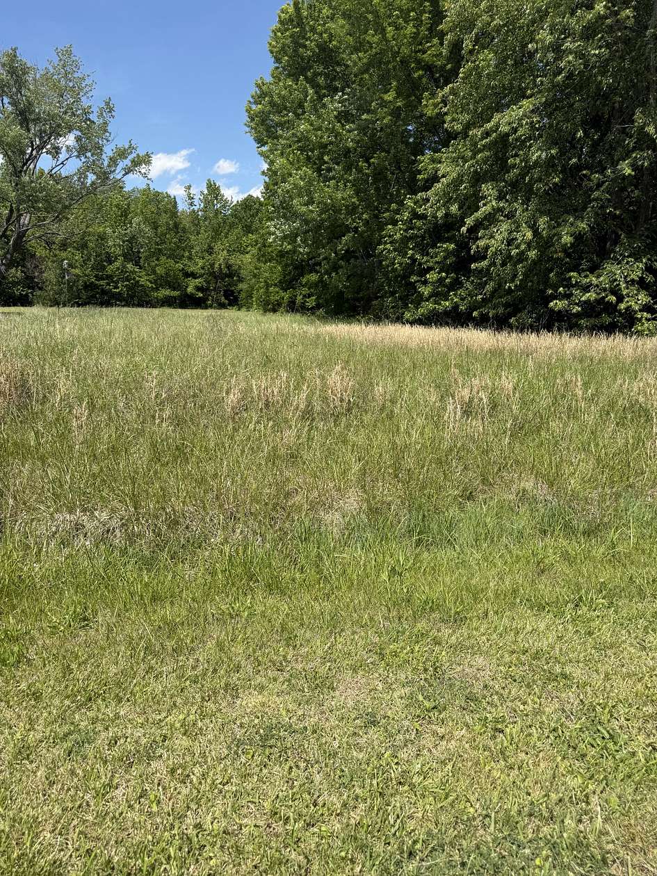 0.34 Acres of Residential Land for Sale in Cedar Hill, Tennessee