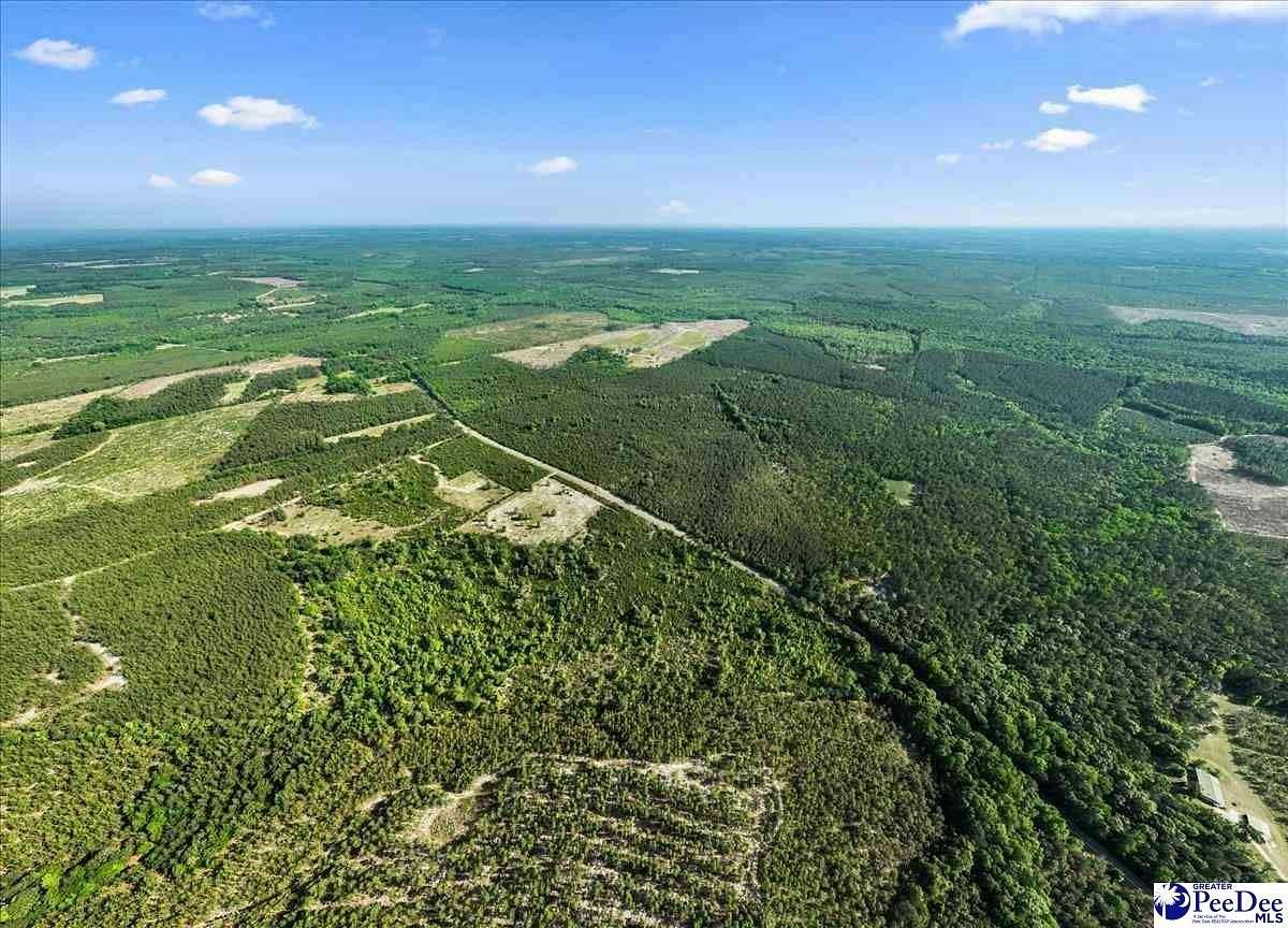 22.9 Acres of Agricultural & Residential Land for Sale in Bethune, South Carolina