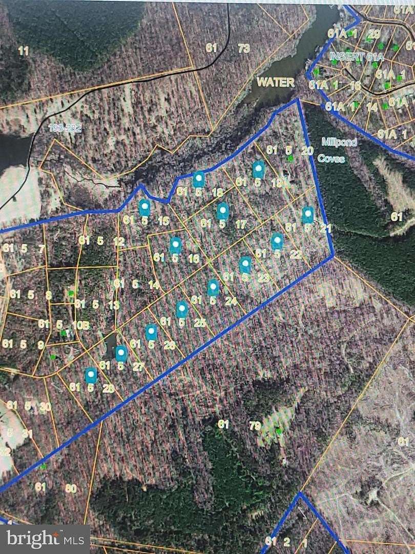 80 Acres of Recreational & Residential Land for Sale in Mineral, Virginia